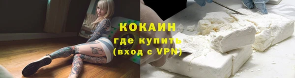 мяу мяу кристалл Няндома