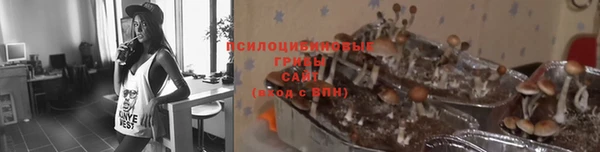 мяу мяу кристалл Няндома