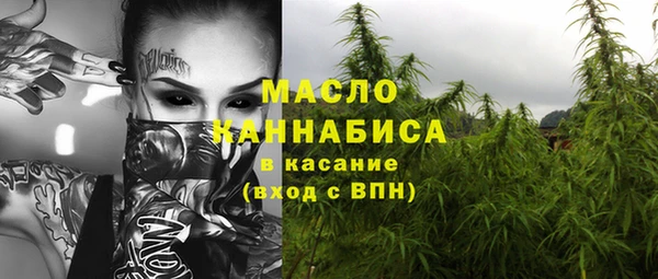 мяу мяу кристалл Няндома