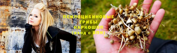 гашик Весьегонск