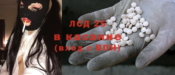 мяу мяу кристалл Няндома