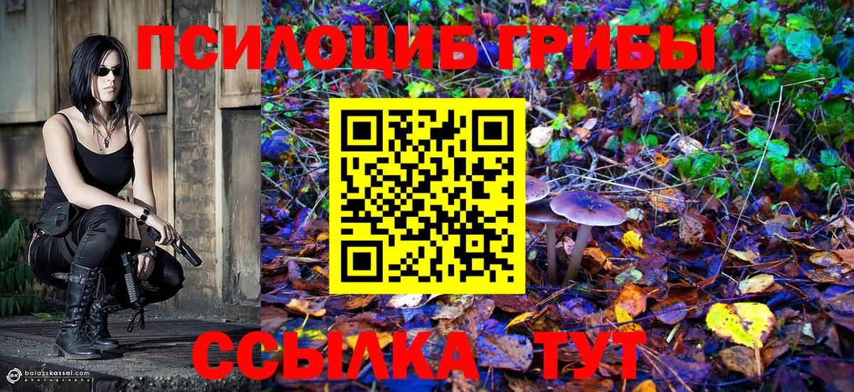 Псилоцибиновые грибы Magic Shrooms  Вход с VPN  Туймазы 