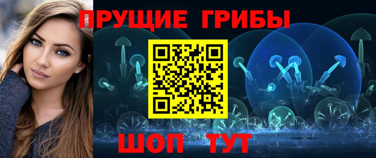 Псилоцибиновые грибы мицелий  Туймазы  Псилоцибиновые грибы Cubensis 